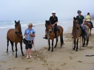 A beach outing of the Victorian Brumby Association with VBA Wattle, VB Anzac and VBA Aurora