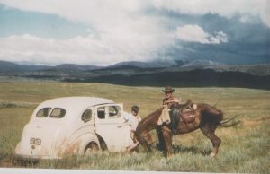 Currango Plain, 1953, Ted Taylor