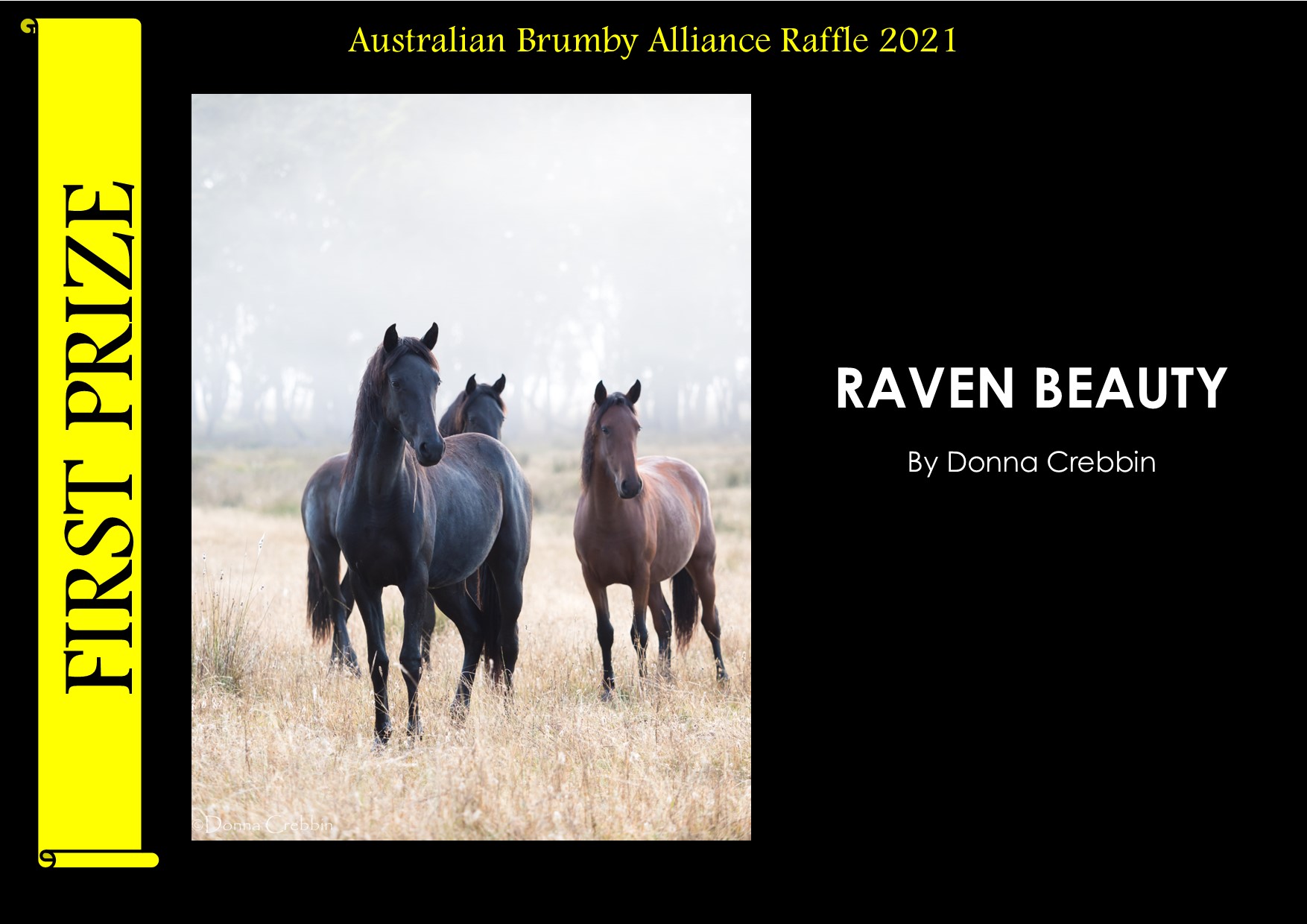 Donna Crebbin Photo Raffle Prize 1