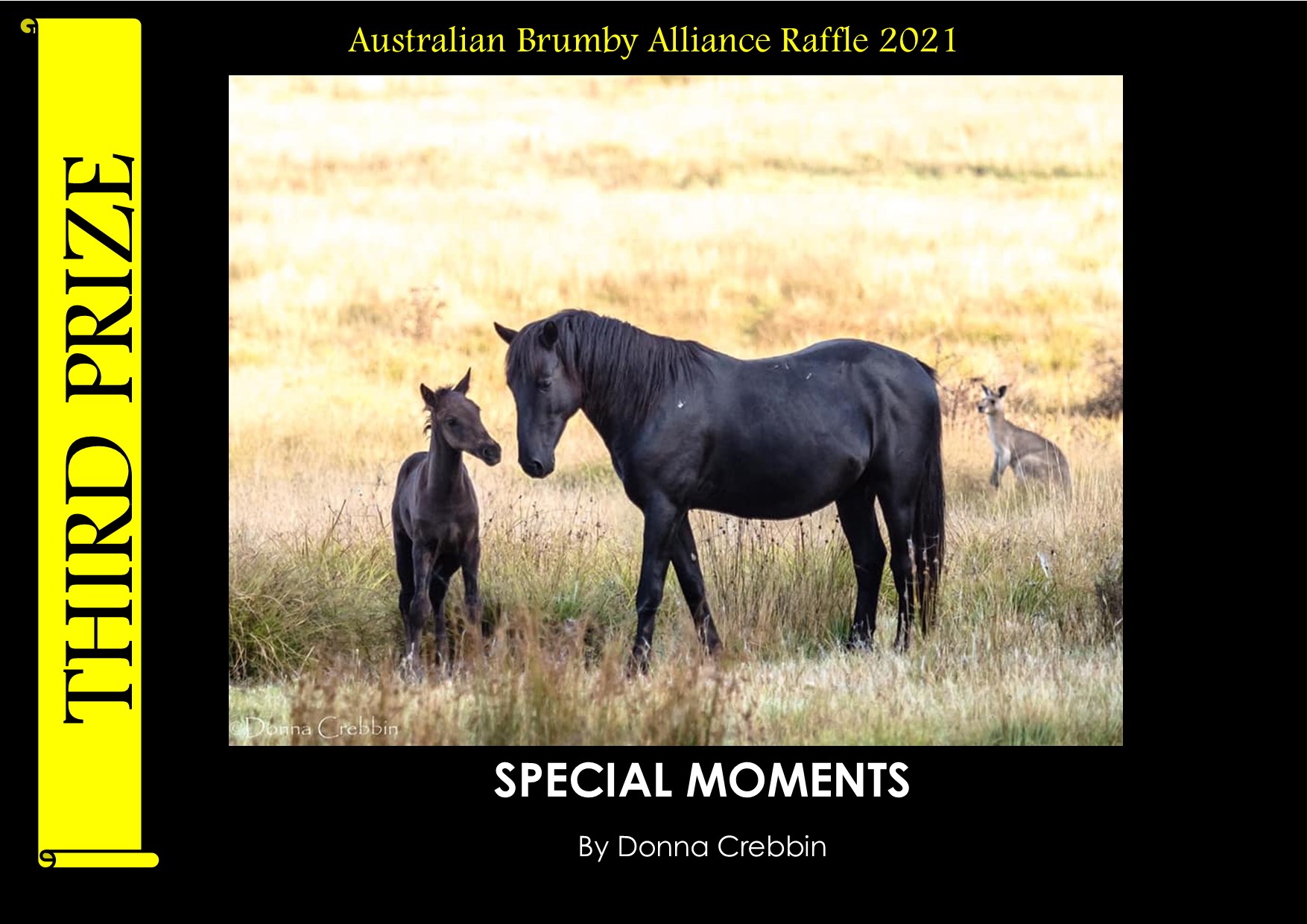 Donna Crebbin Photo Raffle 3rd