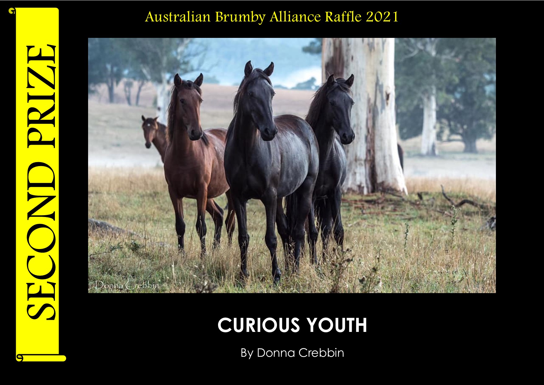 Donna Crebbin Photo Raffle 2nd