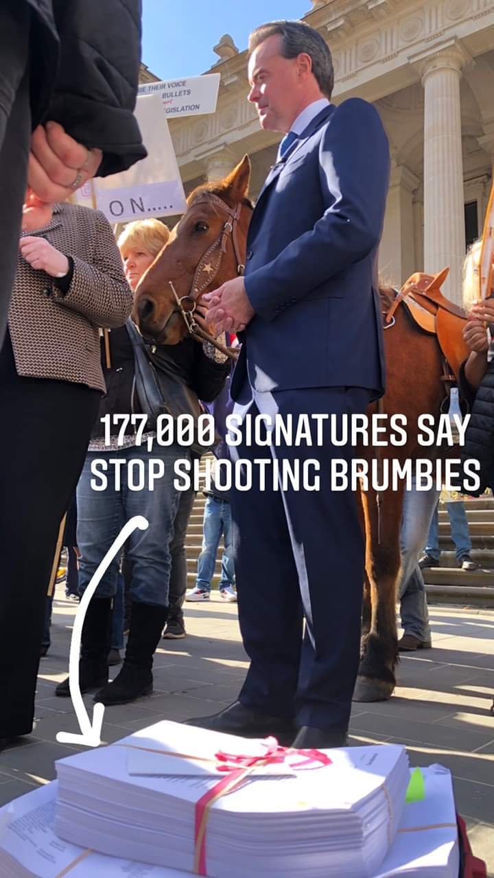 O'Brien petition brumby
