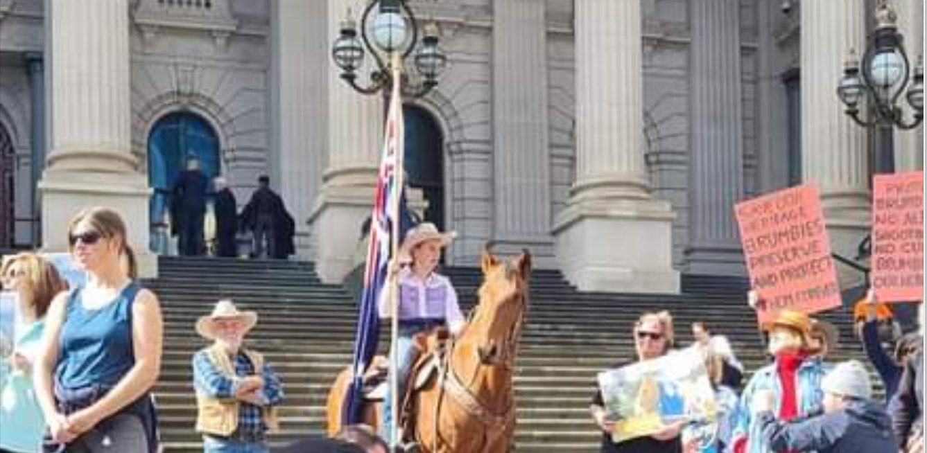 Parliament steps Brumby Blured