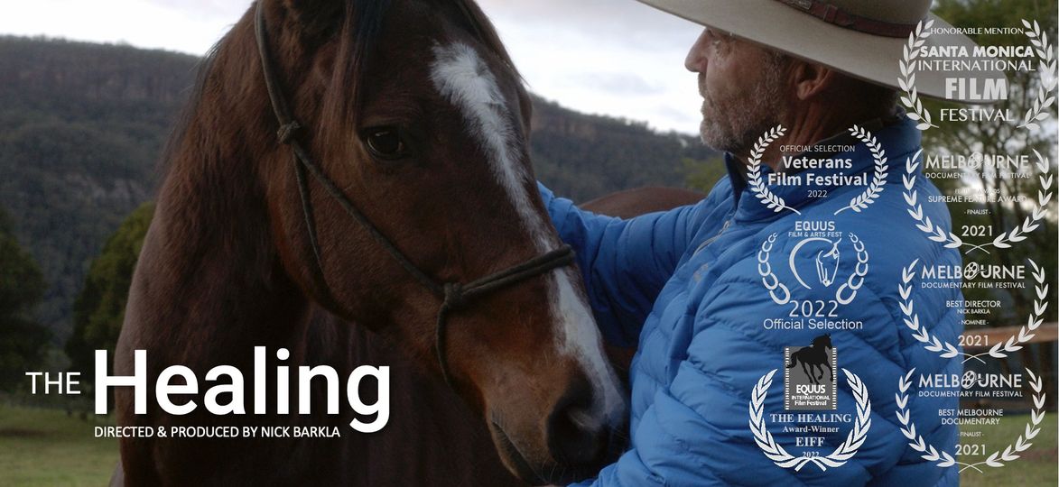 The Healing Power Of Horses – Australian Brumby Alliance