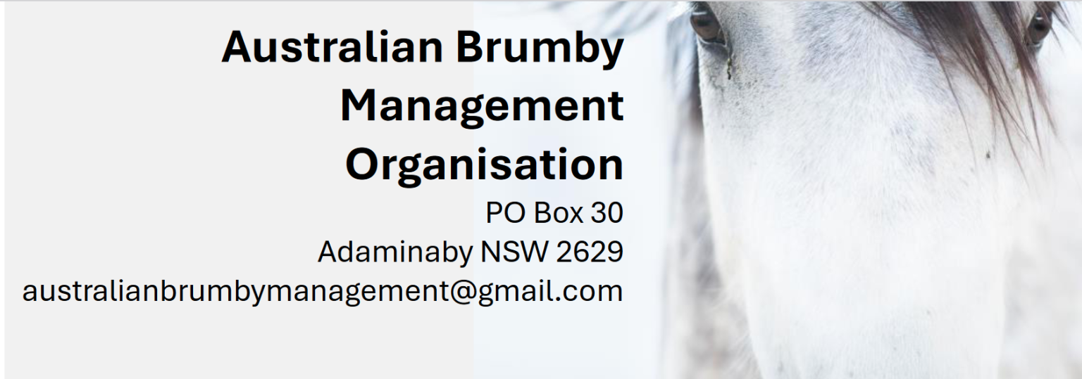 Australian Brumby Management Organisation – Australian Brumby Alliance